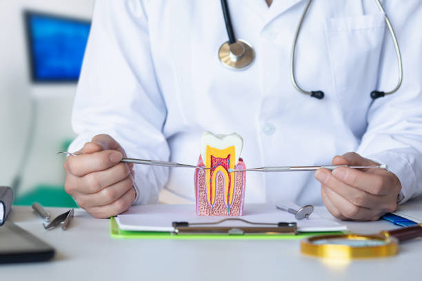 Best Emergency Dental Care for Broken or Chipped Teeth in University, MS